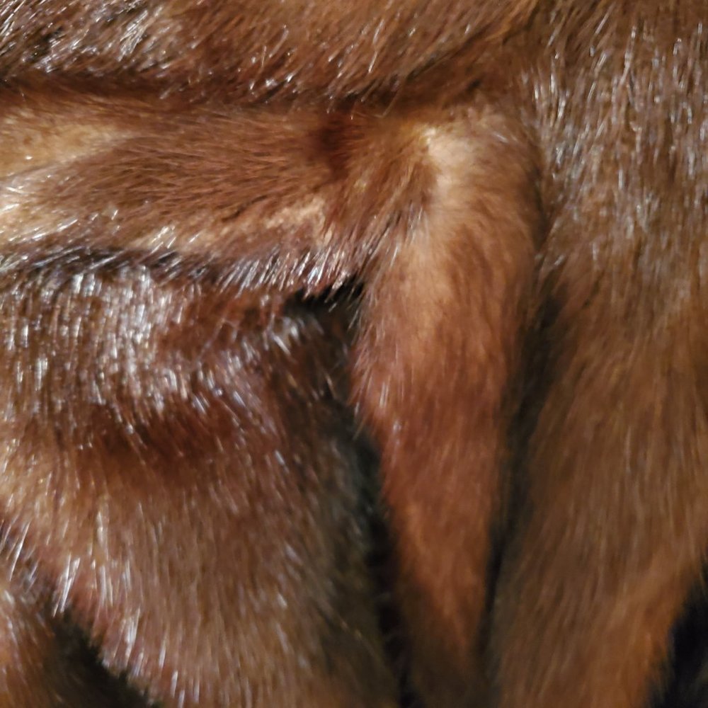 Dark Brown Mink Stoller (Size 12) - Picture 7 of 8